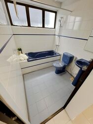 Dunearn Road (D11), Condominium #482576081